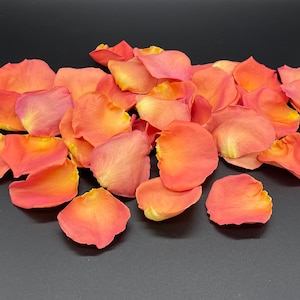 Rose Petals, Coral, 5 cups of REAL freeze dried rose petals, All Natural and Biodegradable, Perfectly Preserved in the USA