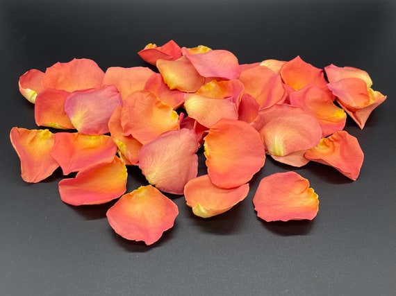 Freeze Dried Rose Petals, Coral, 5 Cups of REAL Rose Petals, Perfectly  Preserved 