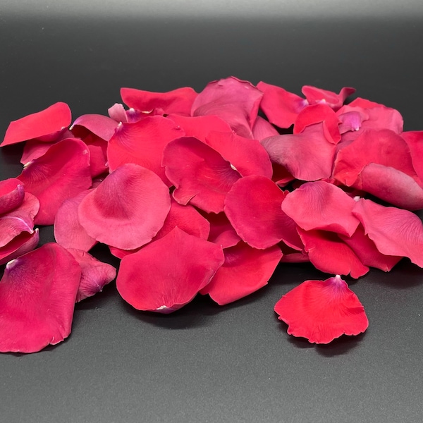 Real Rose Petal Etsy