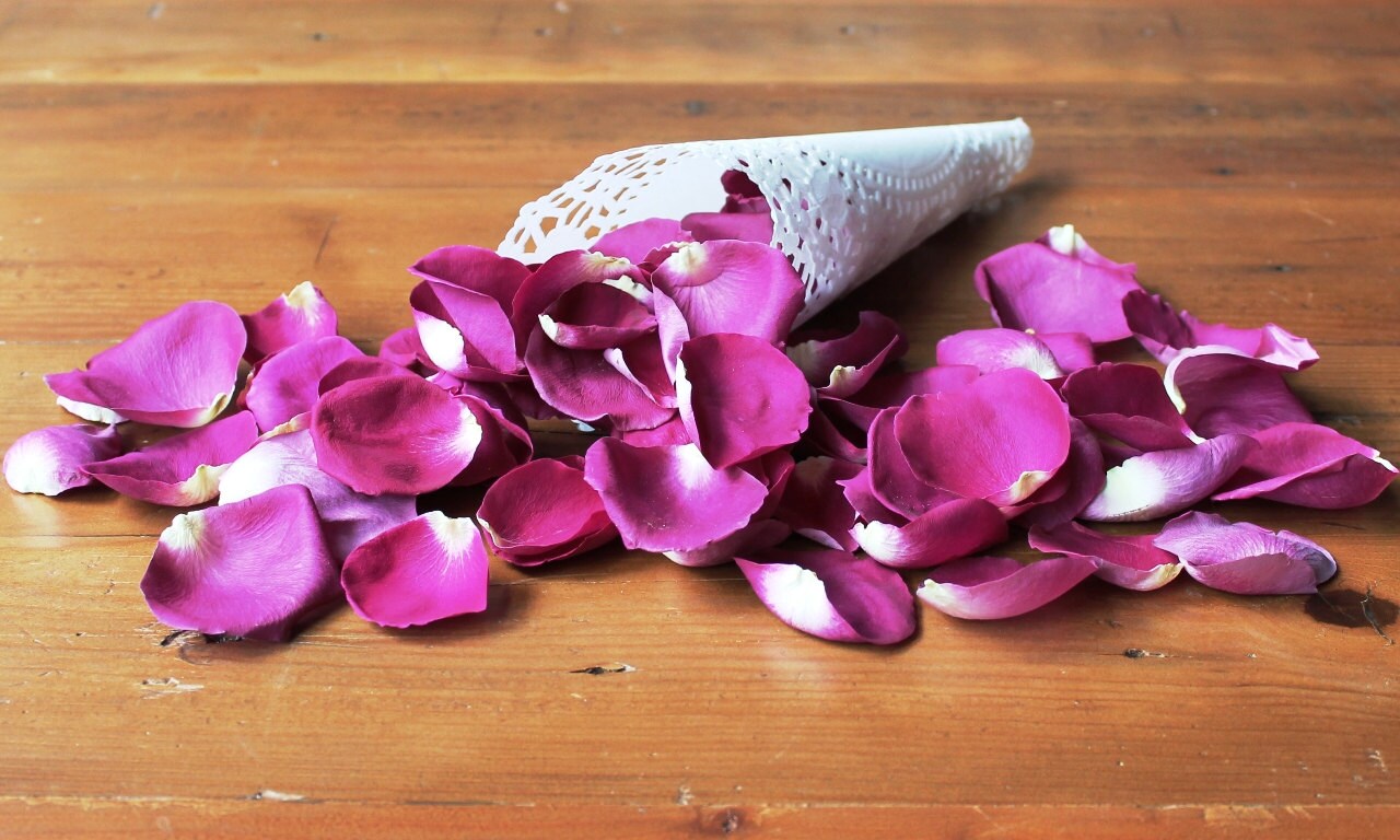 Freeze Dried Rose Petals Magenta 30 cups of REAL rose Etsy