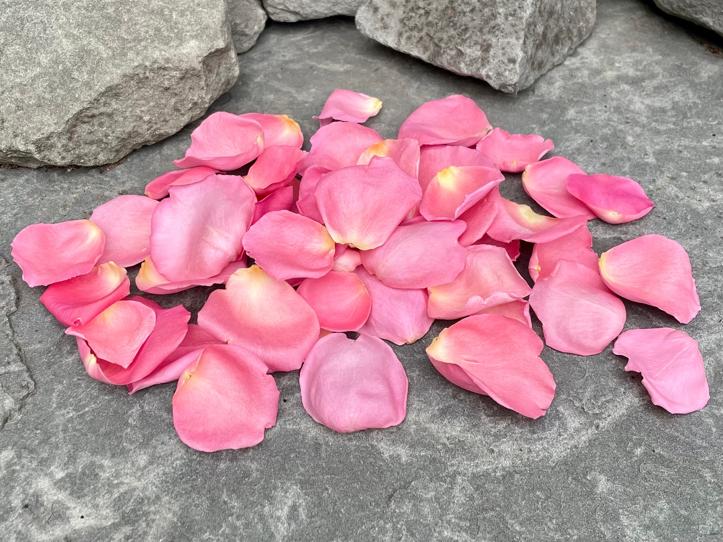 150 petali di rosa in tessuto rosso