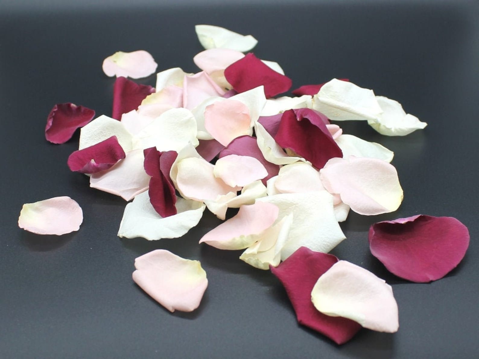 Freeze Dried Rose Petals Ivory 10 Cups of REAL Rose Petals Etsy