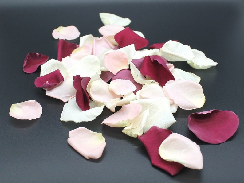 Freeze Dried Rose Petals, Ivory, 10 cups of REAL rose petals for Weddings, All Natural and Biodegradable, Ships Based on Event Date image 6