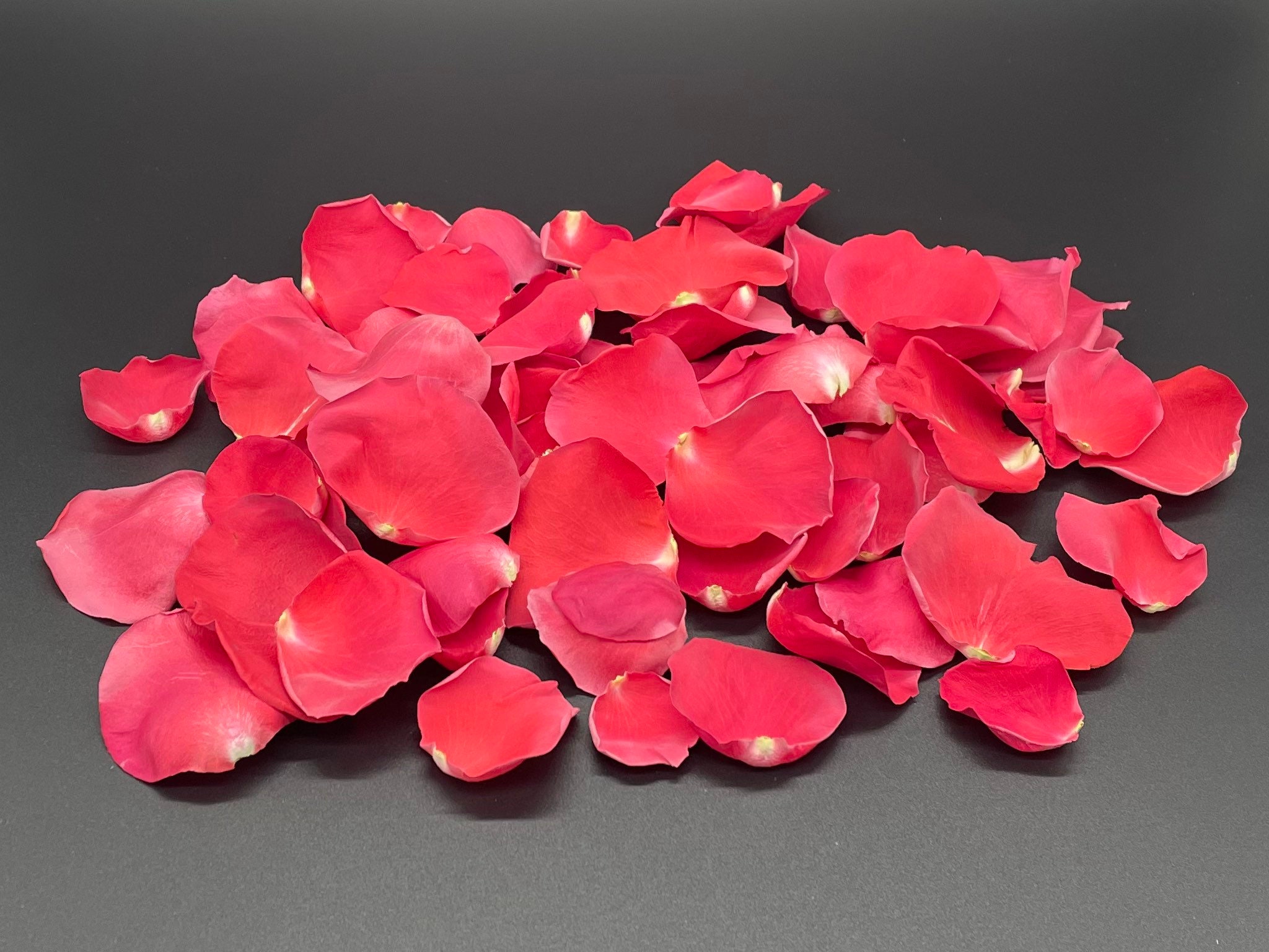 Freeze Dried Rose Petals Red REAL Rose Petals Perfectly 