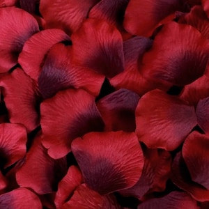 Red Silk Rose Petals, 300 petals image 2