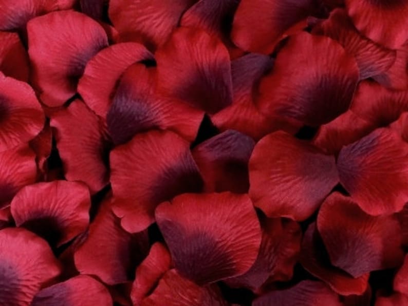 Burgundy Silk Rose Petals, 1000 petals image 1