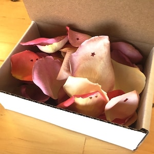 Campioni di petali di rosa liofilizzati, 2 tazze di VERI petali di rosa, perfettamente conservati