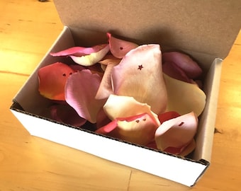 Freeze Dried Rose Petal Samples, 2 cups of REAL rose petals, perfectly preserved