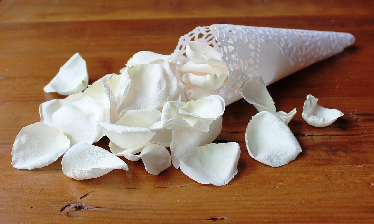 Rose Petals, REAL Freeze Dried Ivory Rose Petals, Biodegradable