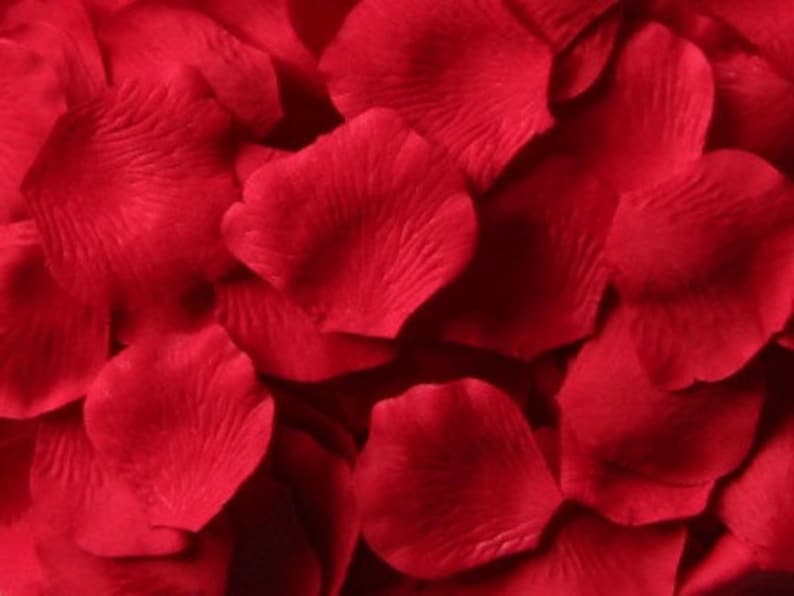 K&ouml;nnte beinhalten: Nahaufnahme eines Stapels roter Rosenbl&auml;tter. Die Bl&uuml;tenbl&auml;tter sind weich und samtig und in einem zuf&auml;lligen Muster angeordnet.