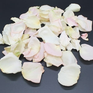 Rose Petals, Ivory & Blush Pathway, 64 cups of REAL freeze dried rose petals, All Natural and Biodegradable, Perfectly Preserved in the USA