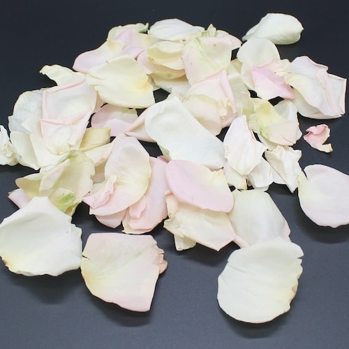 Freeze Dried Rose Petals Ivory 50 Cups of REAL Rose Petals Etsy