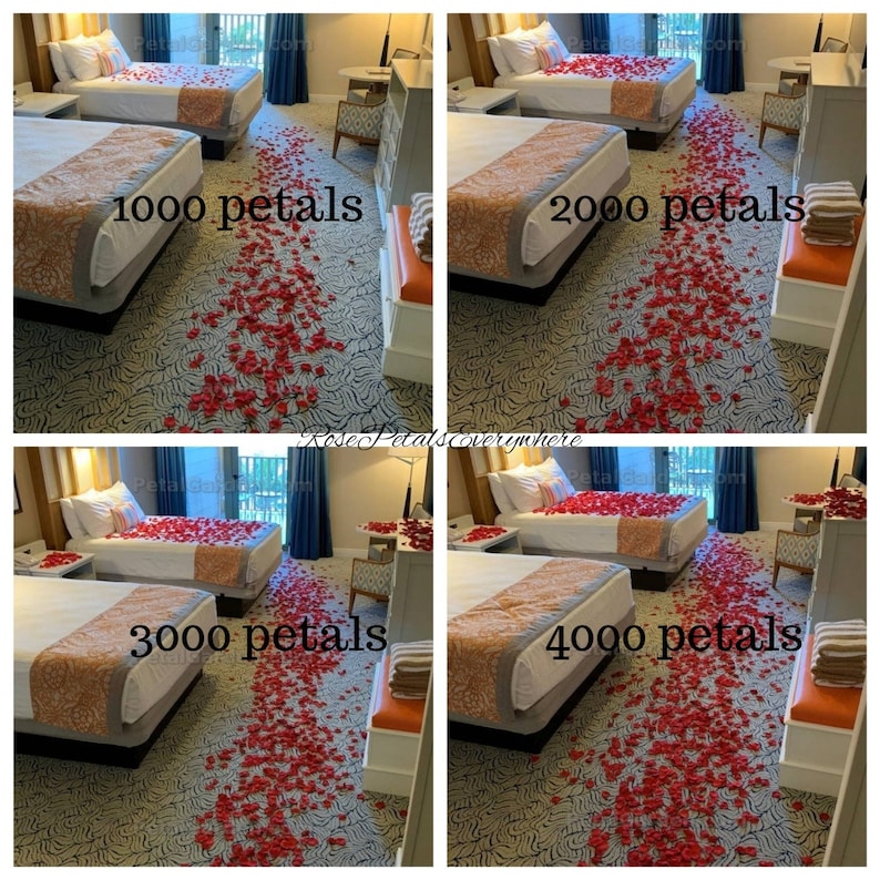 K&ouml;nnte beinhalten: Vier Bilder, die ein Hotelzimmer mit einem Bett und einer Spur von Rosenbl&auml;ttern zeigen, die zum Bett f&uuml;hren. Die Anzahl der Bl&uuml;tenbl&auml;tter nimmt in jedem Bild zu, mit den Bildunterschriften "1000 Bl&uuml;tenbl&auml;tter", "2000 Bl&uuml;tenbl&auml;tter", "3000 Bl&uuml;tenbl&auml;tter" und "4000 Bl&uuml;tenbl&auml;tter".