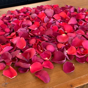 Petali di rosa, Love Blend, veri petali di rosa liofilizzati, completamente naturali e biodegradabili, perfettamente conservati negli Stati Uniti.