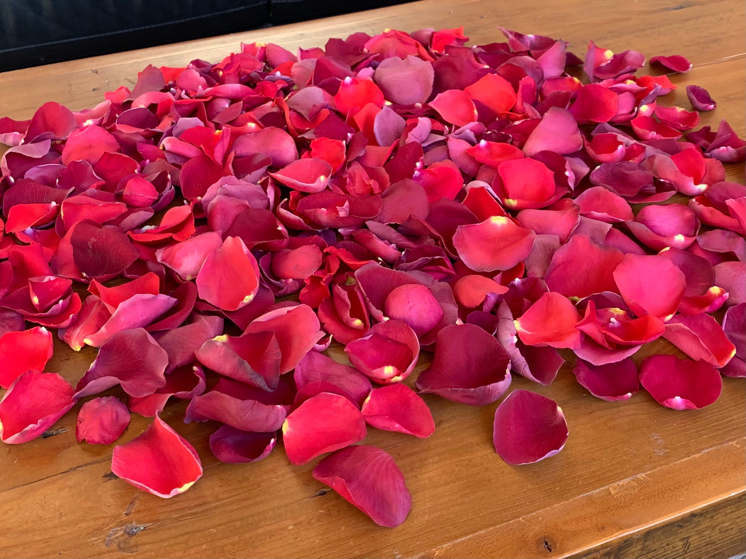 Organic Dried Burgundy Red Rose Petals, Edible Flowers, Rose Tea