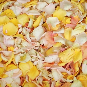 Rose Petals, Assorted Pale Shades, 64 cups of REAL freeze dried rose petals, All Natural and Biodegradable, Perfectly Preserved in the USA