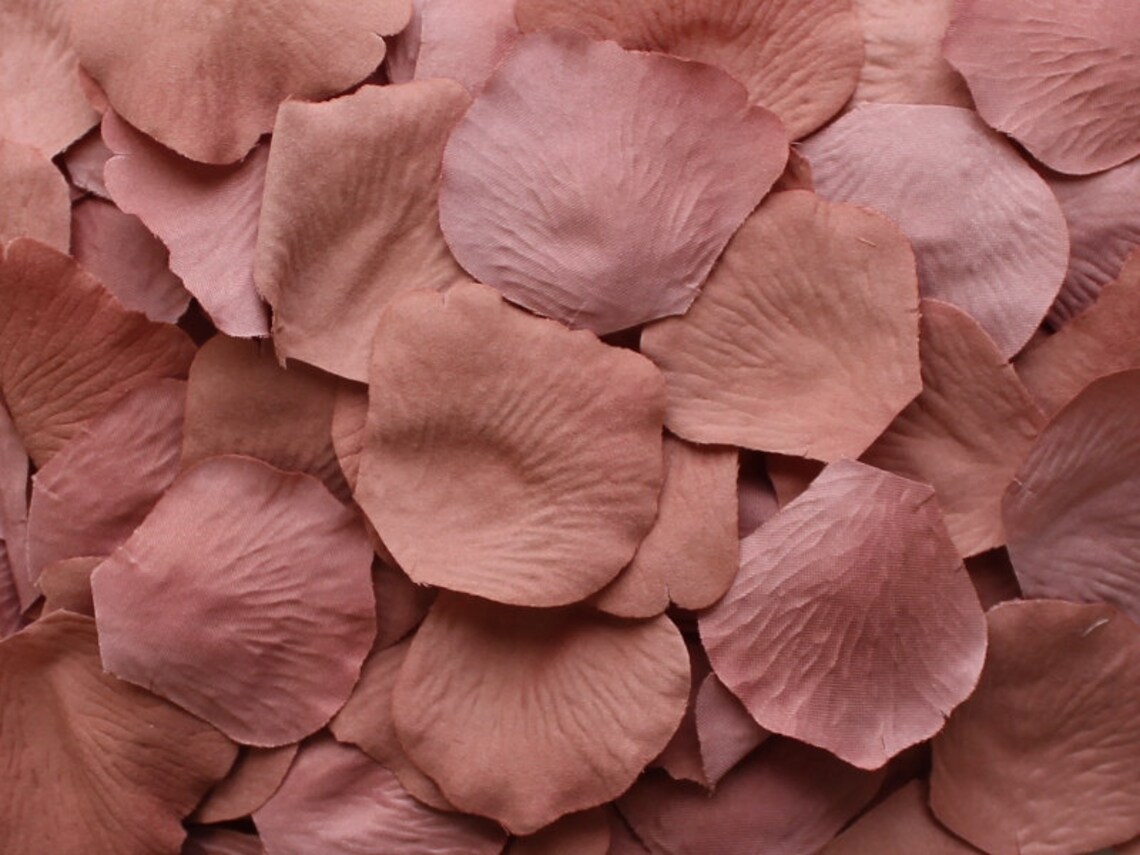 Silk Rose Petals 300 Vintage Rose Etsy