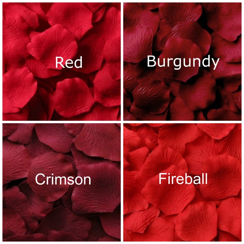 May include: Four different colors of rose petals: red, burgundy, crimson, and fireball. The petals are arranged in a grid pattern.