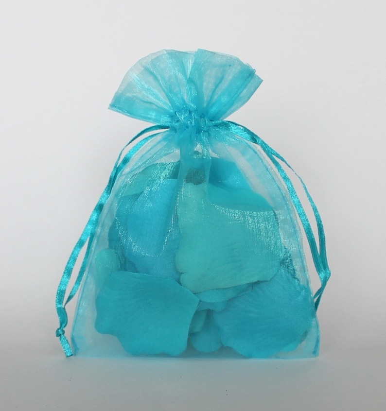 Organza Gift Bags Teal Sheer Favor Bags With Drawstring for Etsy