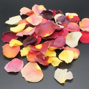 May include: A pile of rose petals in shades of red, pink, yellow, and cream. The petals are scattered on a black background.