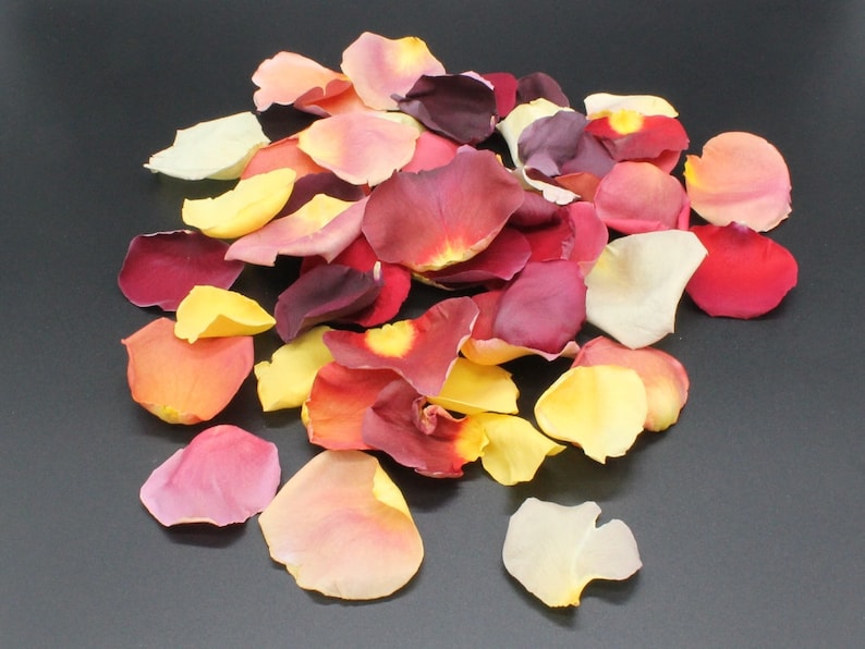 Freeze Dried Rose Petals Falling in Love Blend REAL Rose Etsy