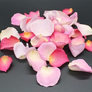 Rose Petals, Raspberry Splash, REAL freeze dried rose petals, All Natural and Biodegradable, Perfectly Preserved in the USA