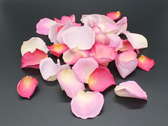 Rose Petals, Raspberry Splash, REAL freeze dried rose petals, All Natural and Biodegradable, Perfectly Preserved in the USA