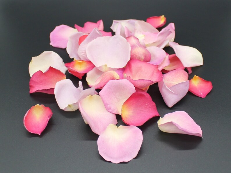 May include: A pile of rose petals in various shades of pink, red, and cream, arranged on a dark grey surface. The petals display a range of sizes and shapes, with some showing a colour gradient from the edges to the centre.