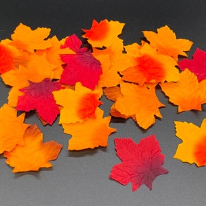 May include: A collection of autumn-coloured maple leaves in shades of red, orange, and yellow. The leaves are scattered on a black background.