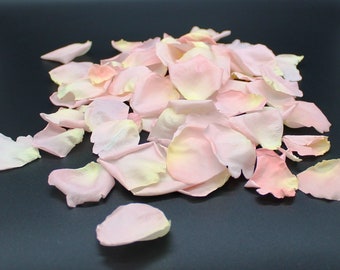 Gefriergetrocknete Rosenblätter, Blush, 100 Tassen echte Rosenblätter, perfekt erhalten