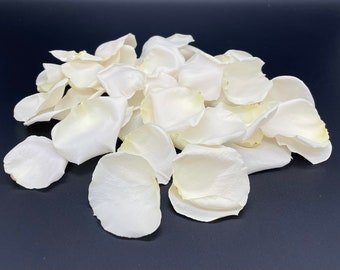 Freeze Dried Rose Petals, Ivory, 50+ cups of REAL rose petals, perfectly preserved