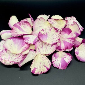 Rose Petals, Sangria Splash, REAL freeze dried rose petals, All Natural and Biodegradable, Perfectly Preserved in the USA