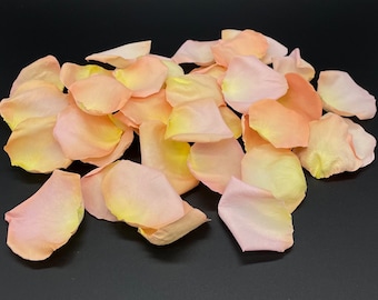 Freeze Dried Rose Petals, Seashell, REAL rose petals, perfectly preserved