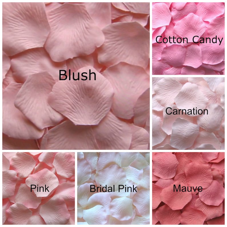 Pale Pink Silk Rose Petals, 300 petals image 1