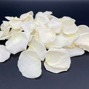 Petali di rosa, avorio, veri petali di rosa liofilizzati, completamente naturali e biodegradabili, perfettamente conservati negli Stati Uniti