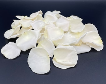 Preserved white roses, dried white roses, real flowers, wedding table,  dried flower crown, cake flowers, boho, wreaths, diy crafts