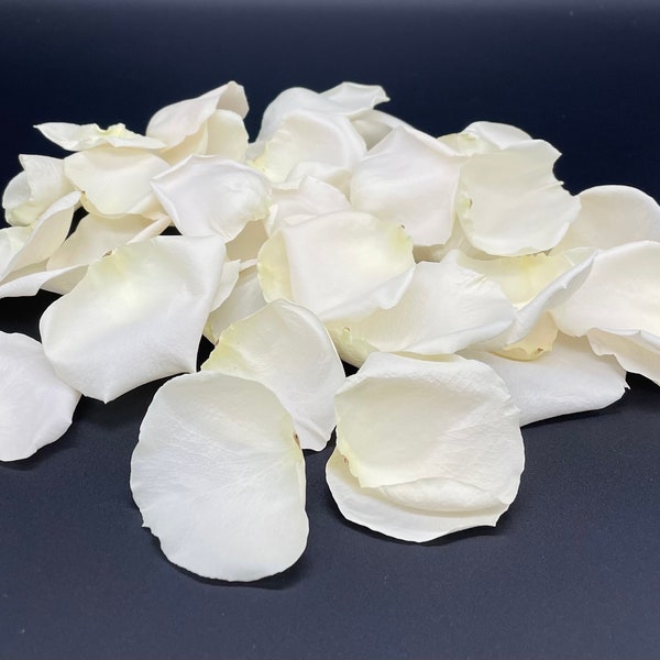 Freeze Dried Rose Petals, Ivory, 10 cups of REAL rose petals for Weddings, All Natural and Biodegradable, Ships Based on Event Date*
