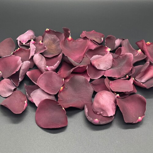 Freeze Dried Rose Petals Ivory REAL Rose Petals Perfectly Etsy