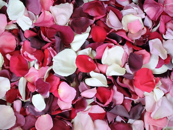 Petali di Rosa, miscela Romance, VERI petali di rosa liofilizzati,  perfettamente conservati -  Italia