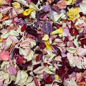 Coriandoli ai Petali di Rosa, Sacchetto da 1 Litro di VERI petali di rosa, liofilizzato piccolo/pezzi
