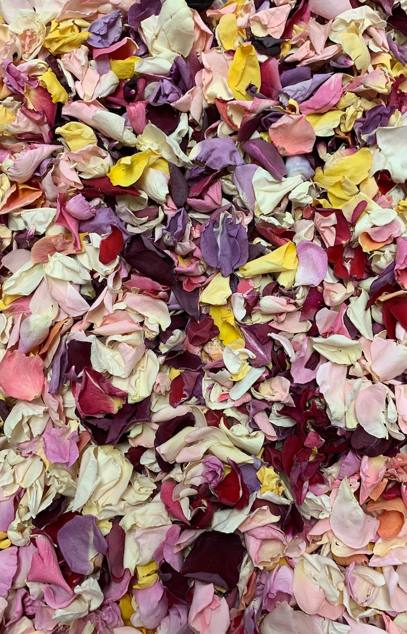 Rose Petal Confetti 1 Quart Bag of REAL Rose Petals Freeze Etsy