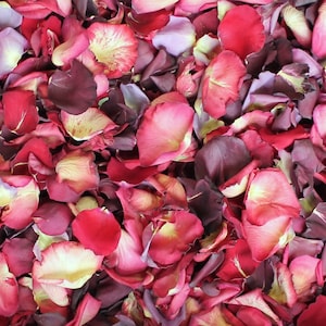 Rose Petals, Red and Pink Pathway, 64 cups of REAL freeze dried rose petals, All Natural and Biodegradable, Perfectly Preserved in the USA