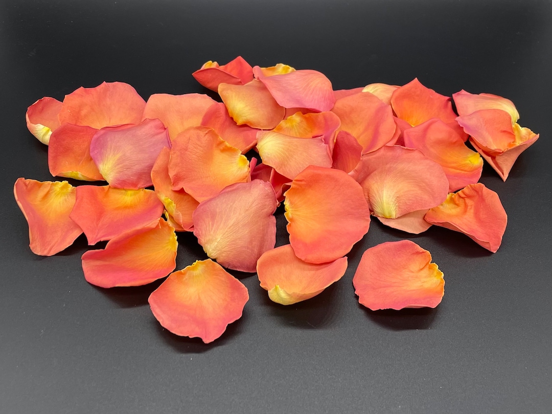Freeze Dried Rose Petals, Coral, REAL Rose Petals, Perfectly Preserved