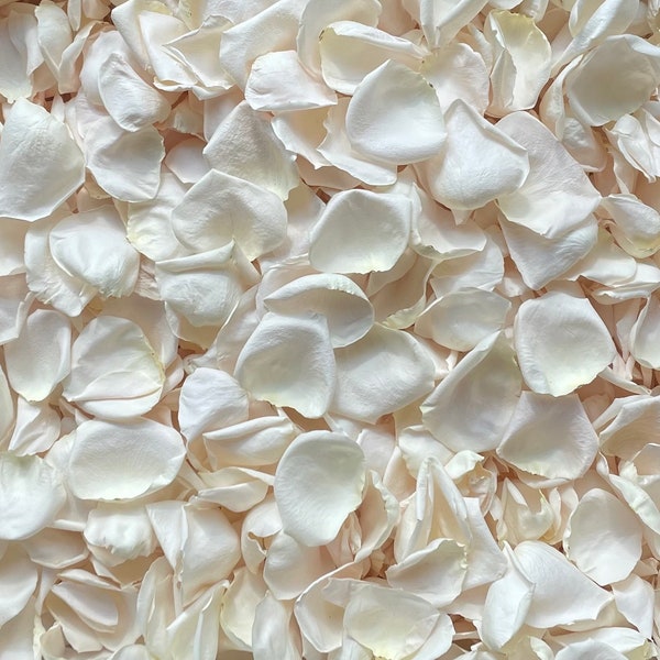 Rose Petals, Ivory Blends, 10 cups of REAL freeze dried rose petals, All Natural and Biodegradable, Perfectly Preserved in the USA