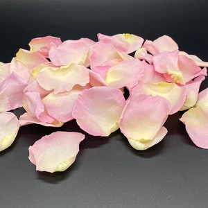 Rose Petals, Pixie Pink, REAL freeze dried rose petals, perfectly preserved image 1