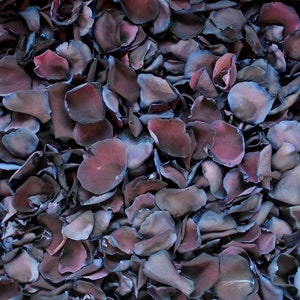 Petali di rosa, luce nera, 5 tazze di veri petali di rosa liofilizzati, completamente naturali e biodegradabili, perfettamente conservati negli Stati Uniti