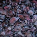 see more listings in the Freeze Dried Rose Petals section