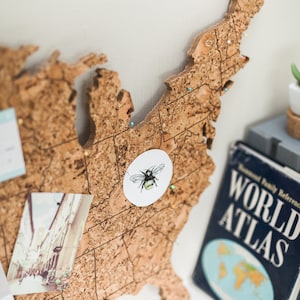 May include: A corkboard map of the United States with push pins and a bee sticker. The map is mounted on a white wall next to a blue book titled "World Atlas".