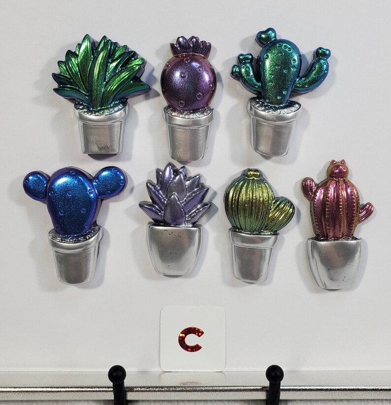 Magnets Cactus