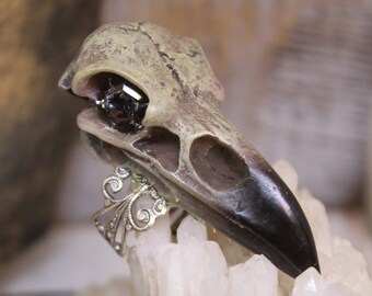 halloween Ring Raven Skull jewelry wedding amulet Goth Ring taxidermy Gothic Skull Ring Witch amulet jewelry eye ring crow  Witchcraft